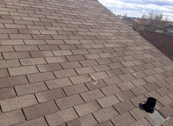 Roofing Repair Contractor in Waterloo IL